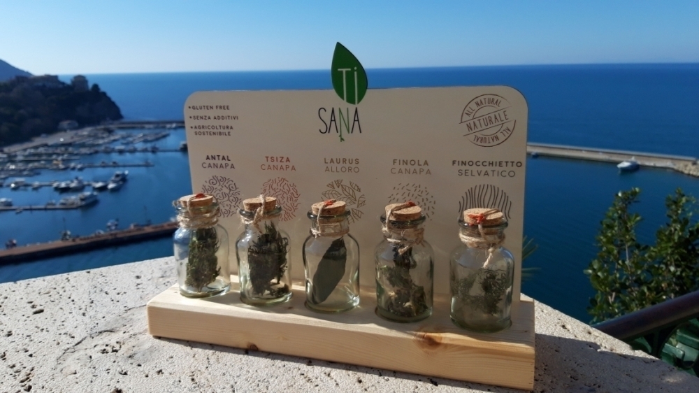 La  linea Ti Sana - Ti Sana